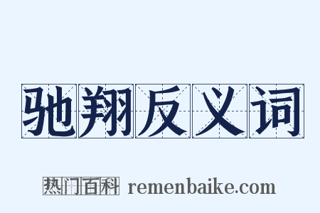 驰翔反义词是什么意思的图片